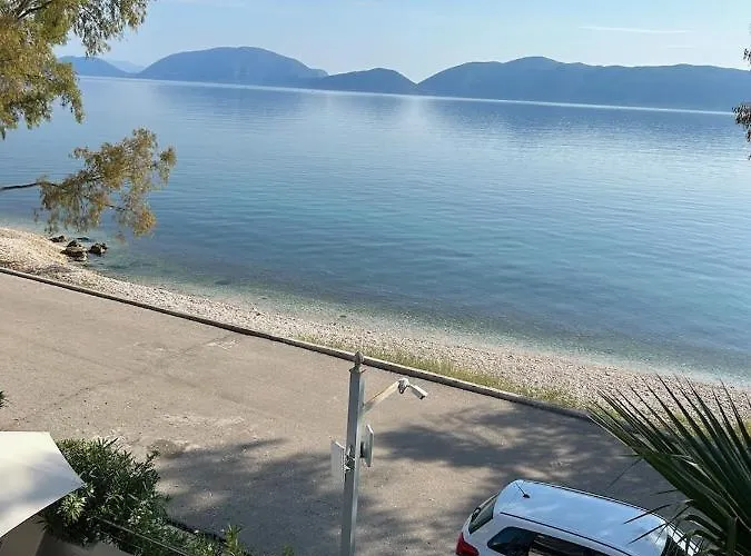 Eucalyptus Sea View *