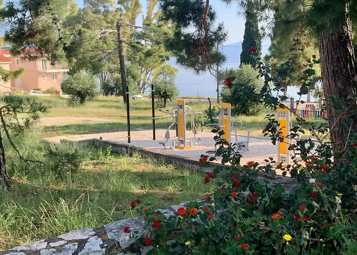 Eucalyptus Sea View *